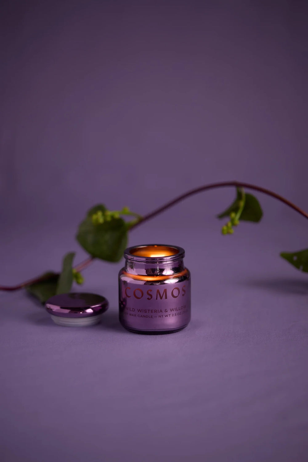 „Wisteria &amp; Willow“ Duftkerze im schimmernden Glas – COSMOS Mini  – LOVE IT ♡ –