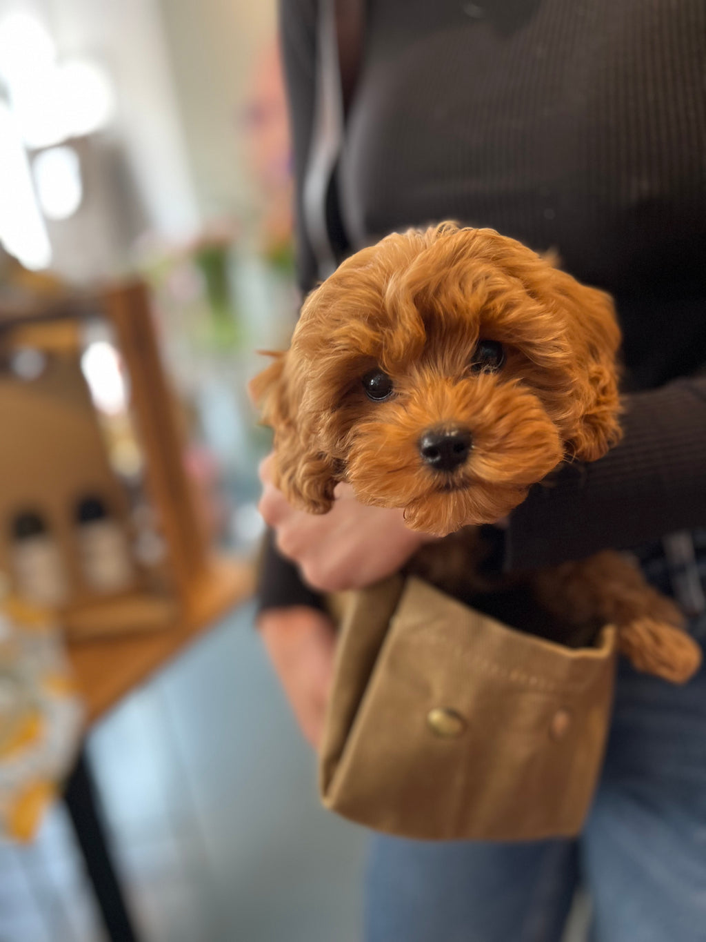 JADE - Utility Blumentasche/ Hundetasche/ Grocery Bag - BEIGE - einrollbar