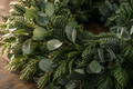 Botanische Adventsstimmung mit Eukalyptus und frischem Grün, KI-generiert