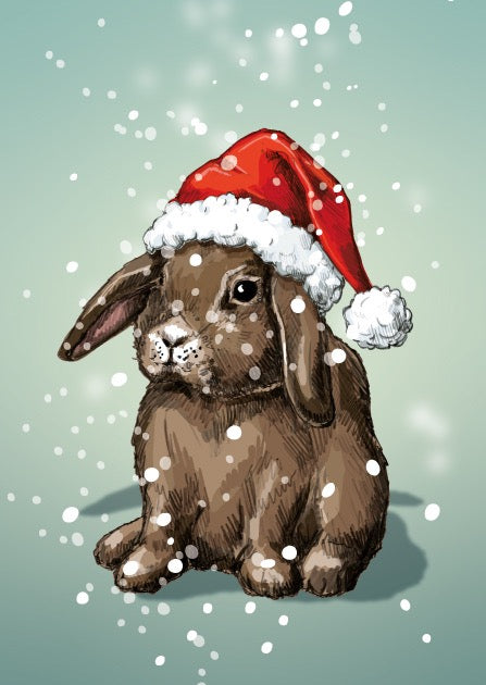 Weihnachtskarte POTTI von illi – nobis design