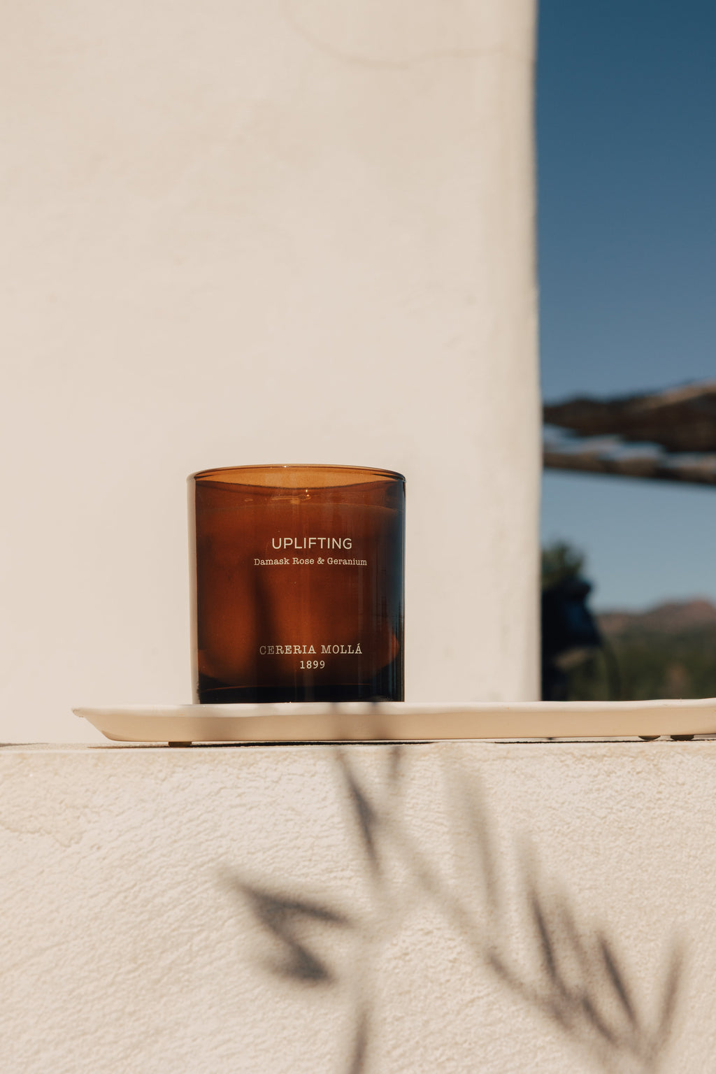 Wellbeing Duftkerze 230 g – Uplifting | Cereria Mollá – Lifestyleaufnahme der Duftlinie; Lieferumfang laut Produktbeschreibung