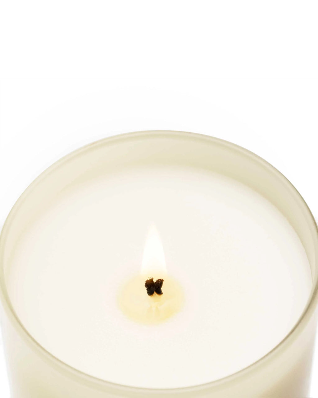 PREMIUM Duftkerze - BLACK ORCHID & LILY - made in Spain ♡
