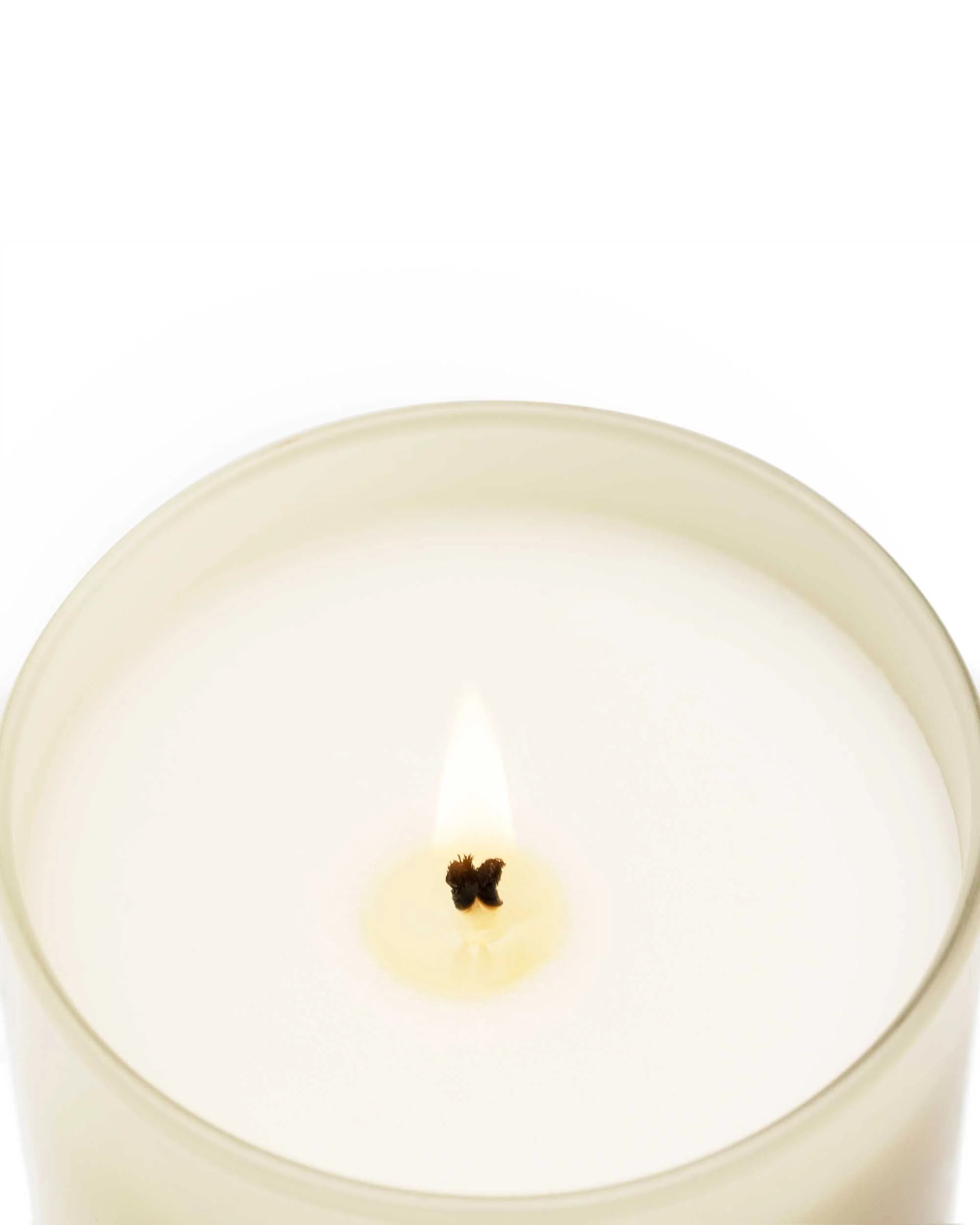 PREMIUM Duftkerze - BLACK ORCHID & LILY - made in Spain ♡
